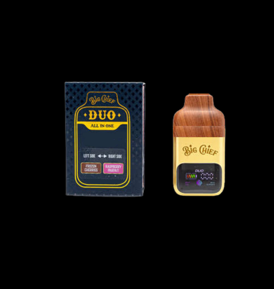 big chief dual 2000 puff