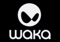 Waka mayoreo MX 